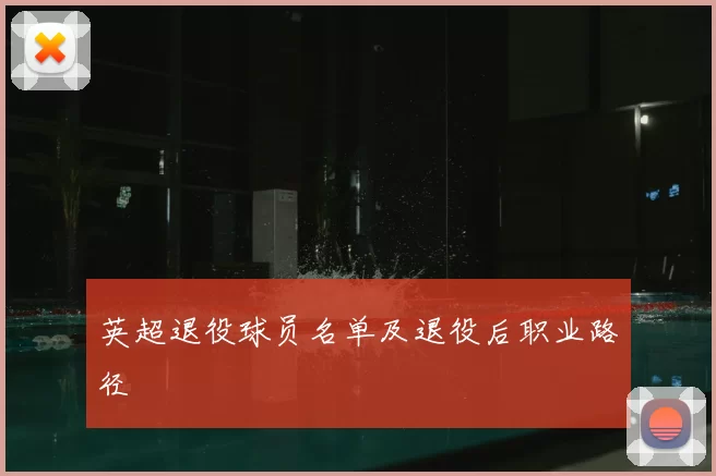 英超退役球员名单及退役后职业路径