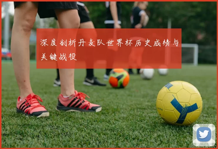 深度剖析丹麦队世界杯历史成绩与关键战役