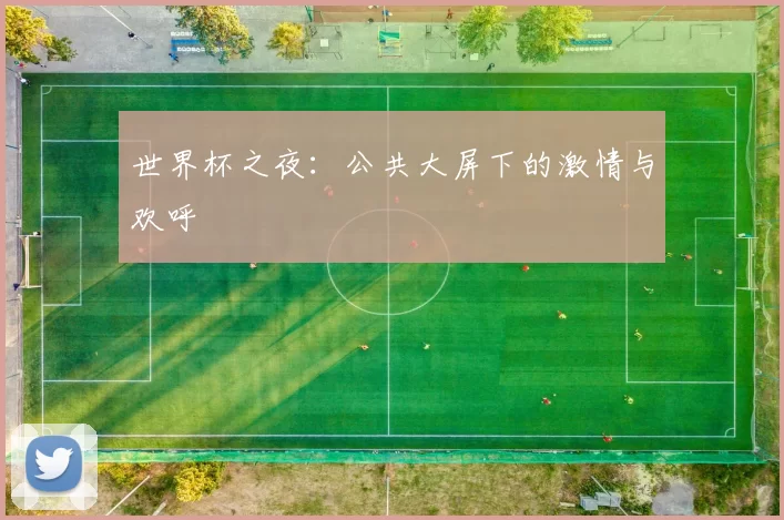 世界杯之夜：公共大屏下的激情与欢呼