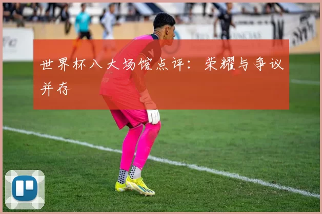 世界杯八大场馆点评:荣耀与争议并存