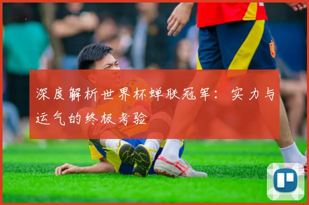 深度解析世界杯蝉联冠军:实力与运气的终极考验