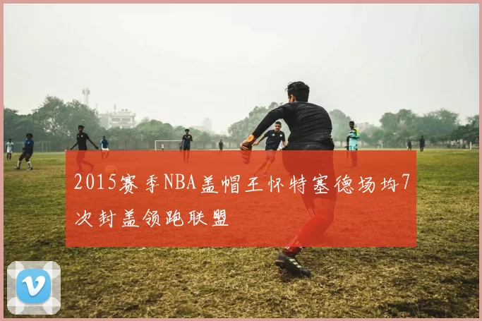 2015赛季NBA盖帽王怀特塞德场均7次封盖领跑联盟