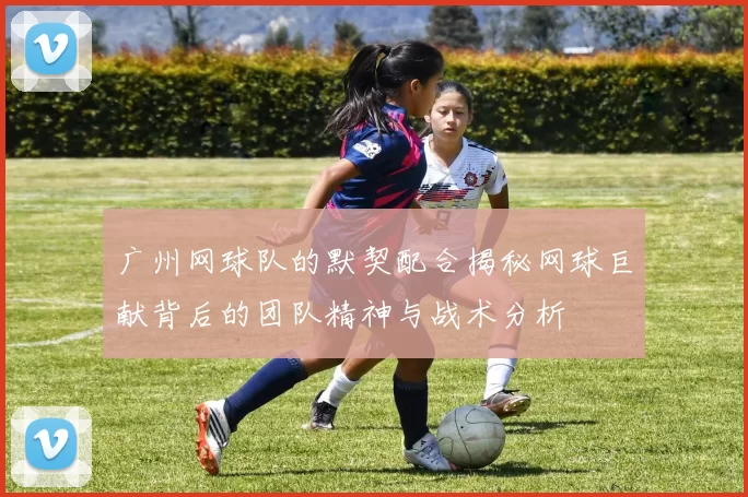 广州网球队的默契配合揭秘网球巨献背后的团队精神与战术分析