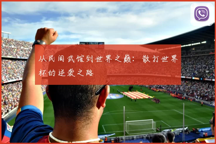 从民间武馆到世界之巅：散打世界杯的逆袭之路