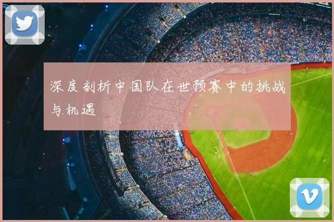 深度剖析中国队在世预赛中的挑战与机遇
