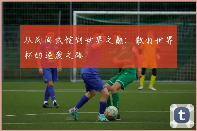 从民间武馆到世界之巅:散打世界杯的逆袭之路