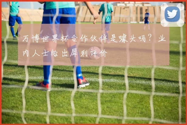 万博世界杯合作伙伴是噱头吗？业内人士给出犀利评价