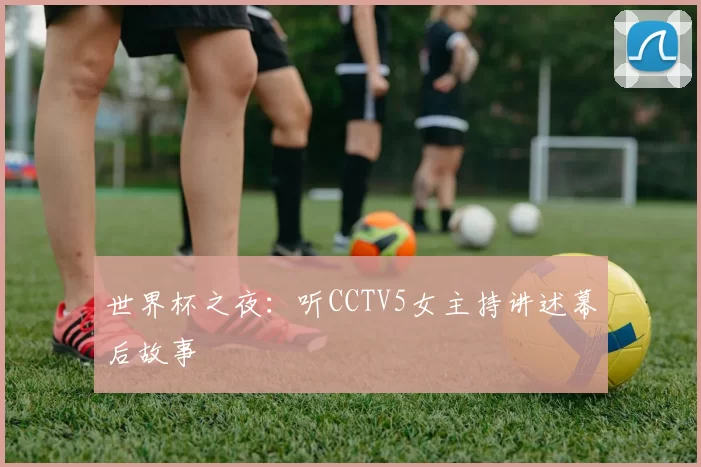 世界杯之夜:听CCTV5女主持讲述幕后故事