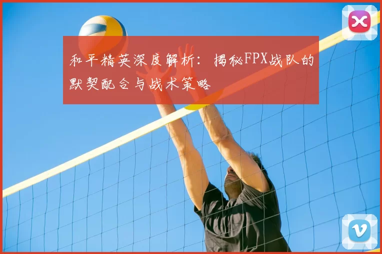 和平精英深度解析:揭秘FPX战队的默契配合与战术策略